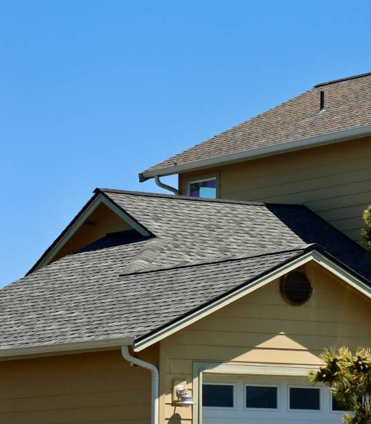 Best Roof Coating and Sealing  in Perry Park, CO